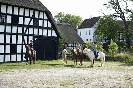 Par og venner på Østrup Turridning, Faaborg_Web 72dpi_5